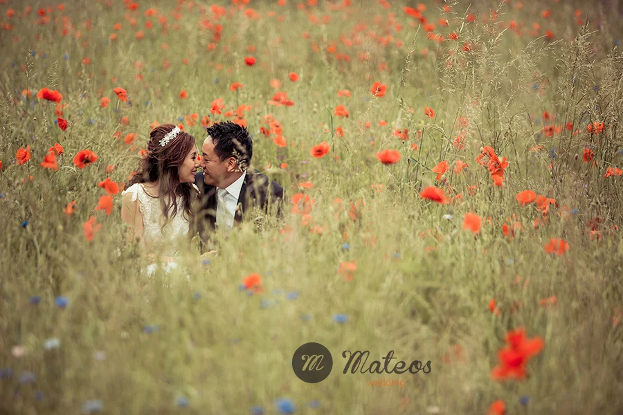 paris photographer 176-