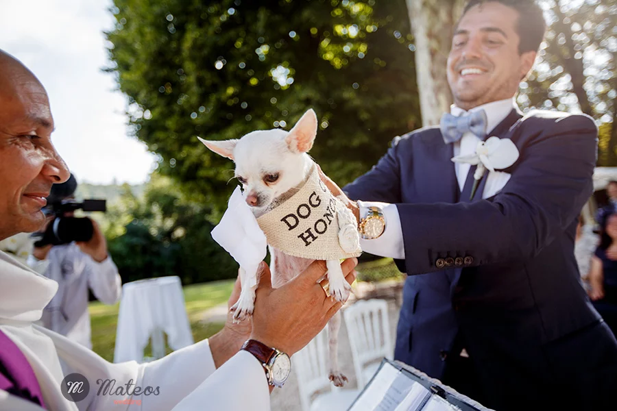 wedding at chateau de robernier, provence
