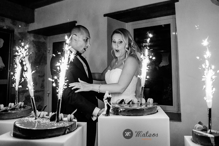 a wedding in switzerland, porte des iris